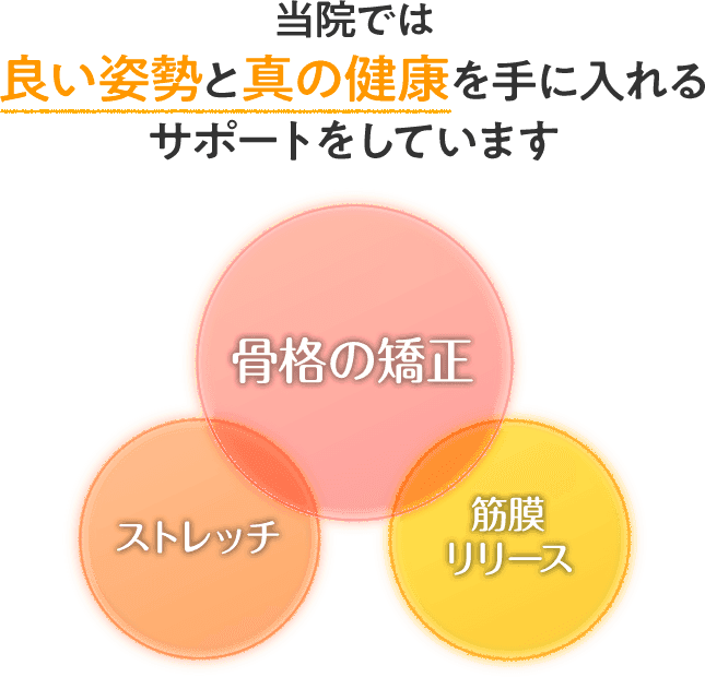 良い姿勢と真の健康を手に入れるサポートをしています